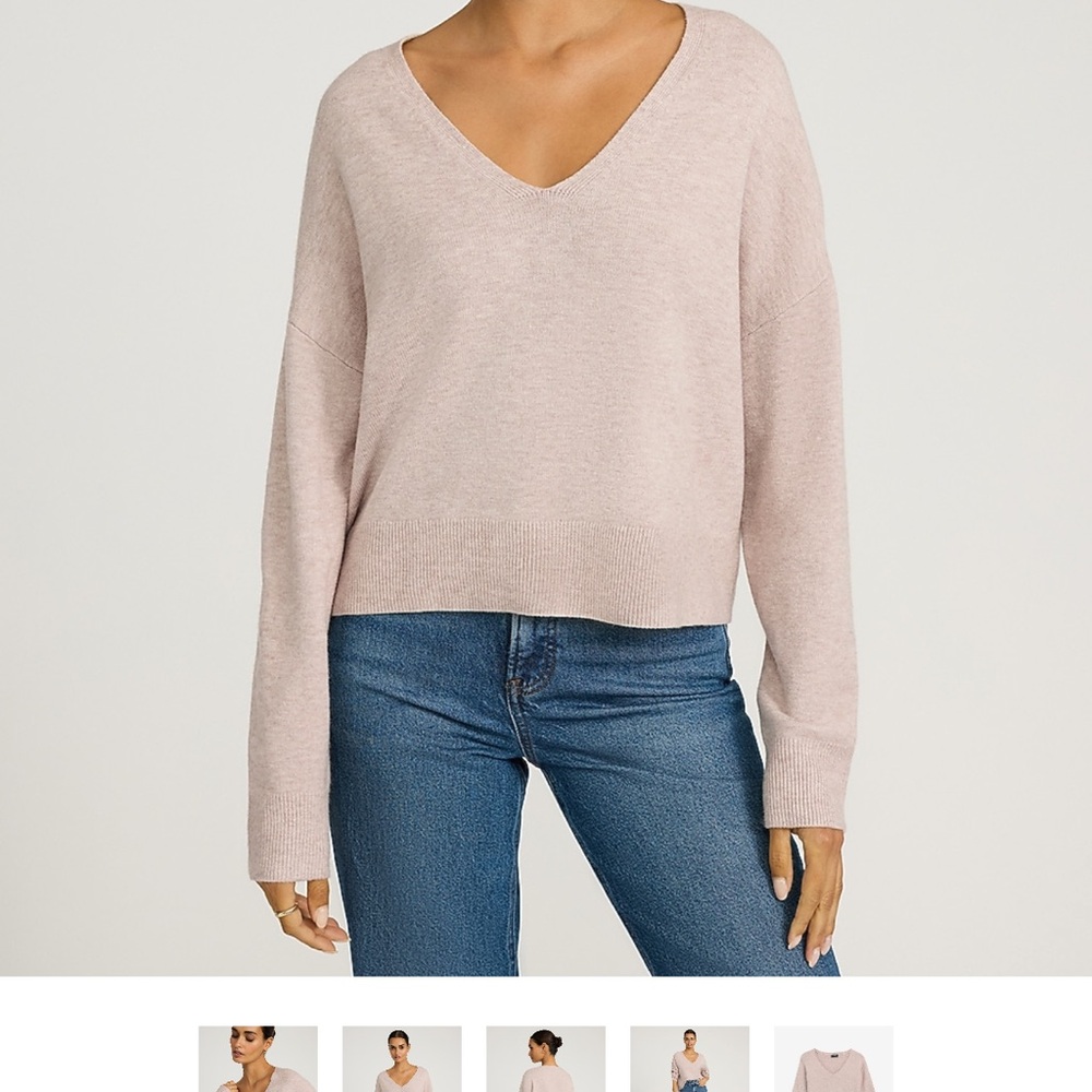 Express Soft Blush V-Neck Sweater